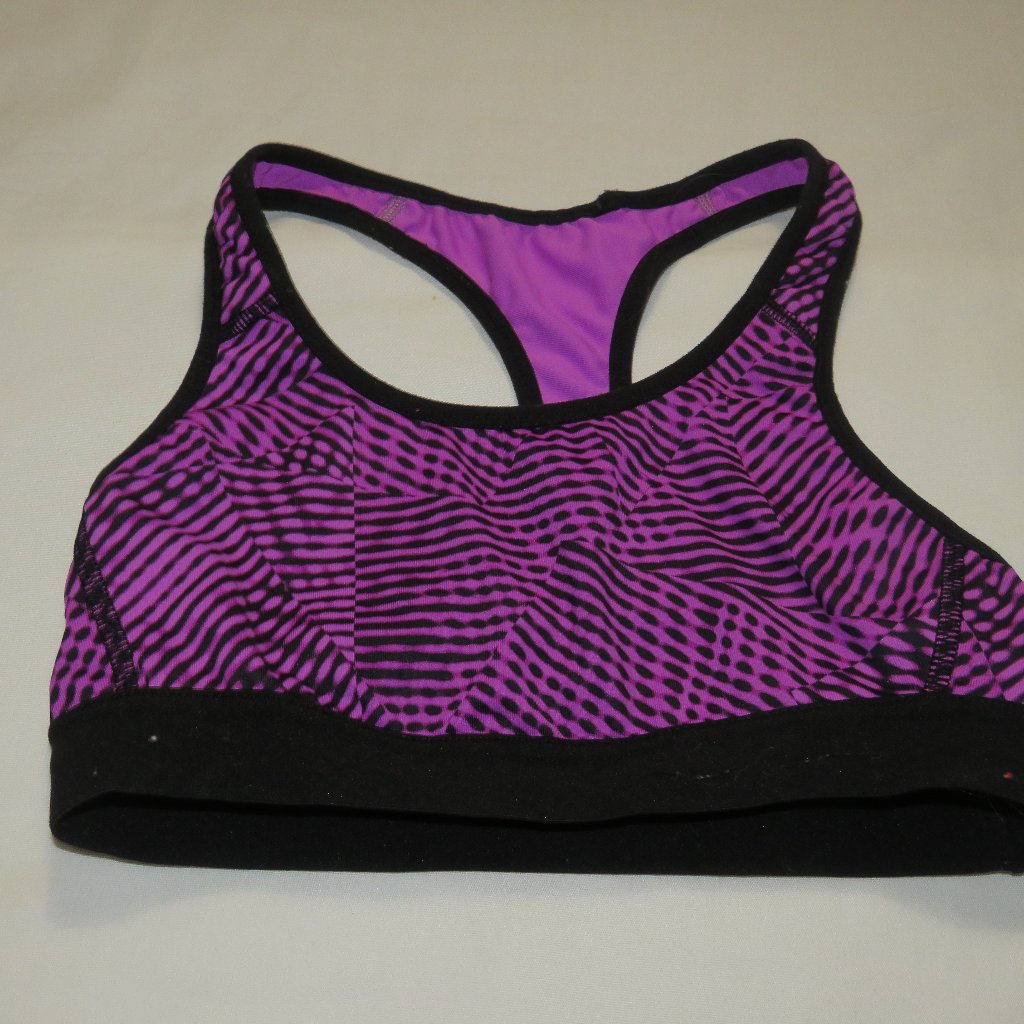 Champion Purple Sport Bra